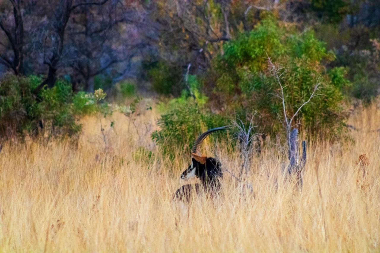 Fumani Game Lodge โมดิมอเลอ ภายนอก รูปภาพ