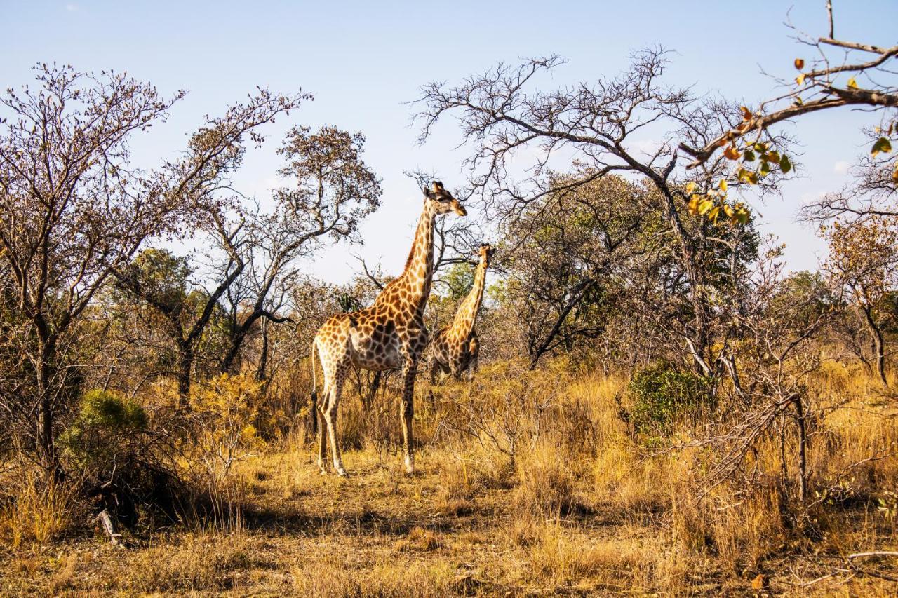 Fumani Game Lodge โมดิมอเลอ ภายนอก รูปภาพ